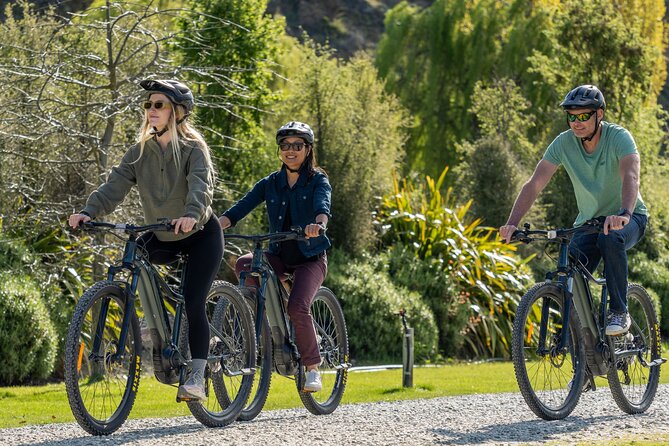 E-Bike Adventures Through the Wineries in Gibbston - Is it good value at $83.78 per person?