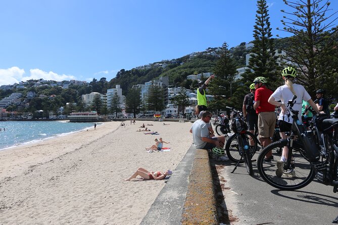 Easy Rider Two-Hour Wellington eBike Tour - Getting Your Wellington Bearings on a Two Hour Waterfront Loop