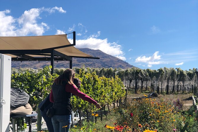ebike tour lake Dunstan wine tasting - Carrick Winery and the marked trail to wine and dining