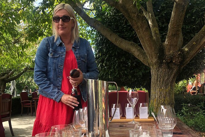 ebike tour lake Dunstan wine tasting - Who should book this e-bike wine ride, and who should skip it