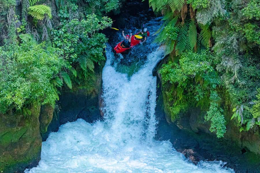 Epic Tandem Kayak Tour down the Kaituna River Waterfalls - The native bush gorge: where the calm happens between the chaos