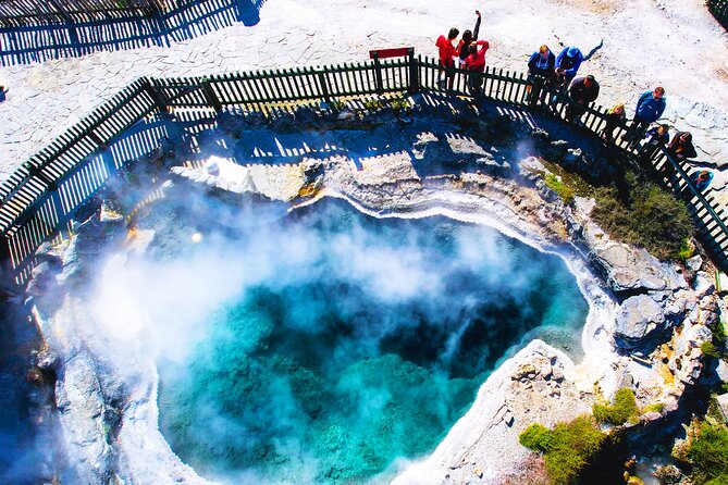 Ex Auckland: Rotorua Māori Village with Haka and Hot Springs - Price and value: is $245.13 a smart use of your day?
