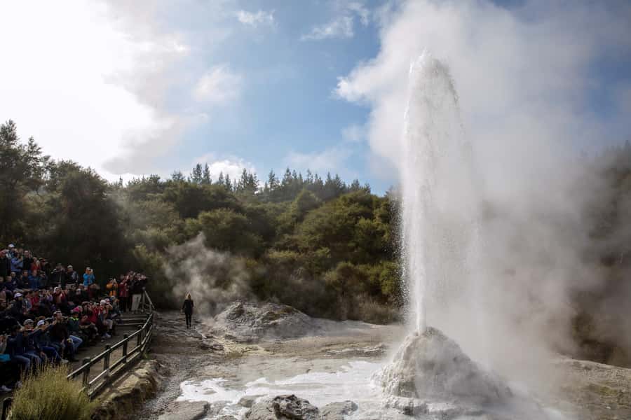 Ex Auckland: TRIPLE DEAL Wai-O-Tapu, Redwood & Blue Springs - Key points before you go