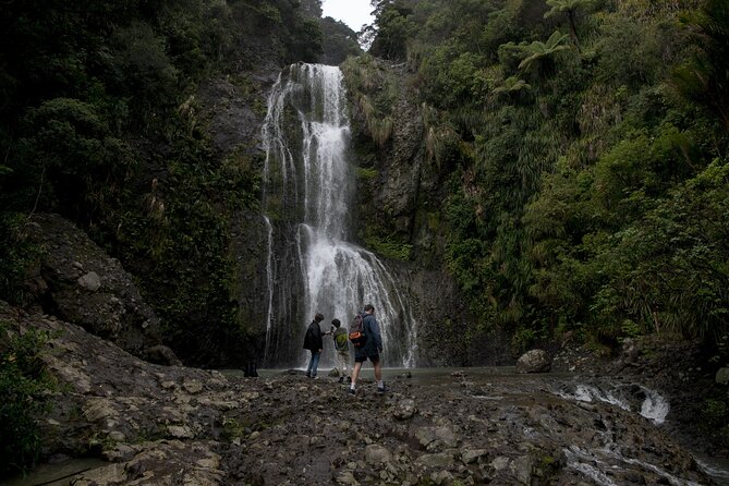 Explore BLACK SAND PIHA BEACH, and Water Falls in West Auckland - 4 hours on the West Coast: timing, pacing, and weather reality