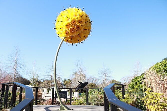 Explore gardens & galleries filled with incredible art, Matakana - Who Should Book Sculptureum in Matakana?