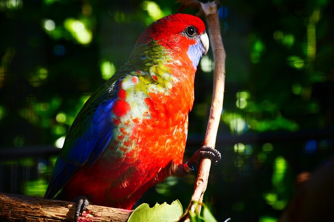 Explore gardens & galleries filled with incredible art, Matakana - Price and Value at Around $40