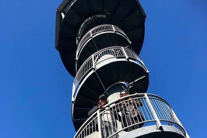 Explore Hokitika Gorge and Tree Top Walkway - West Coast Treetop Walkway: 450m through the canopy, built for real views
