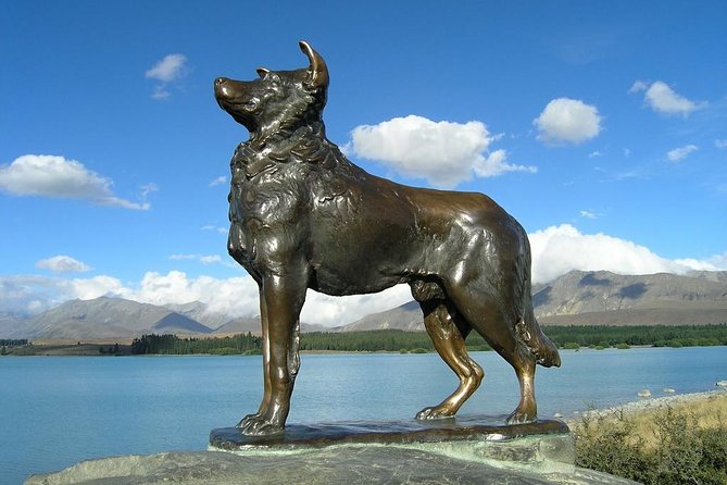 Explore Mount Cook from Christchurch - Return drive via Fairlie and afternoon tea