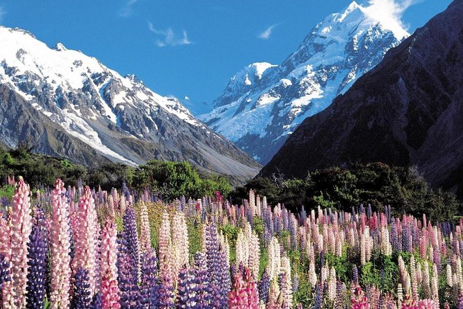 Explore Mount Cook from Christchurch - Lake Tekapo’s Good Shepherd Church, then on to Lake Pukaki