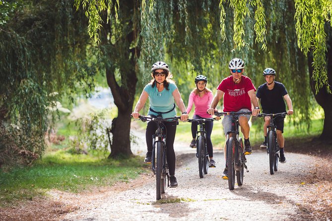 Explore Queenstown's Scenic Trails with an Electric Bike - Choosing the Right Route: Views, Effort, and Your Time Window