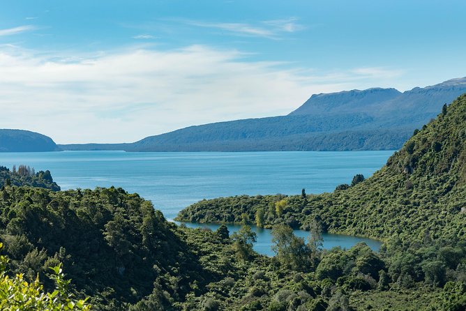 Explore The Lakes Tour - Stop 2 Break: Redwood Plantation Views
