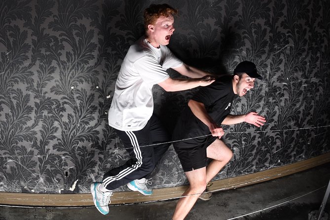 Fear Factory Queenstown - The Staff, the Pace, and Why People Keep Recommending It