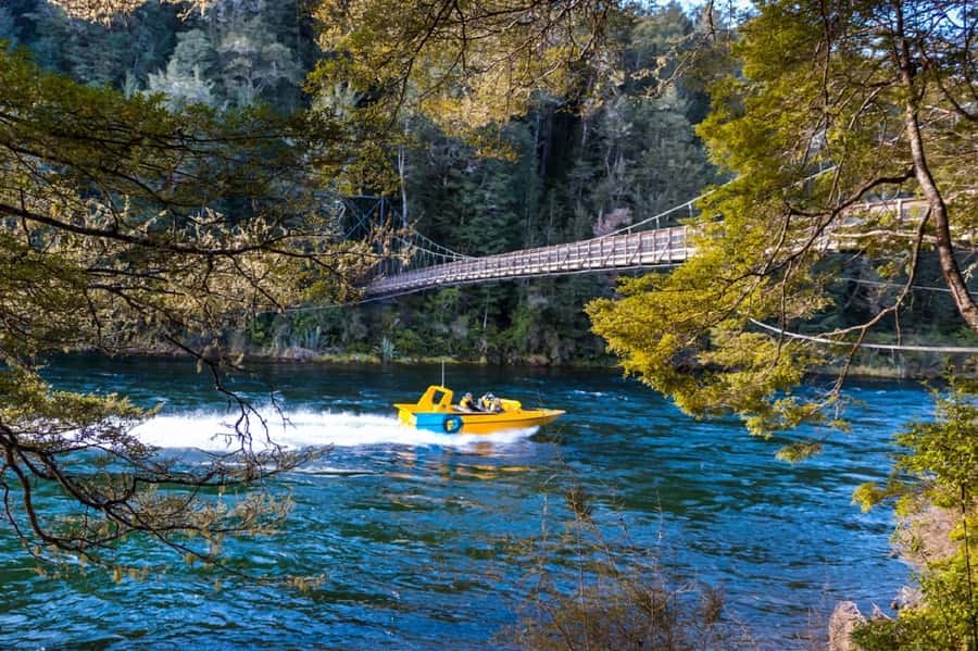Fiordland: Jet Boat & Nature Walk Experience from Te Anau - Key Things You’ll Love About This Fiordland Experience