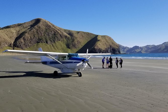 Flight Experience our Water and Wilderness Scenic Tour - The Outer Sounds beach landing: sand time after the fly time