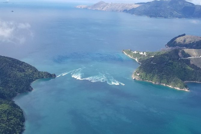 Flight Experience our Water and Wilderness Scenic Tour - Getting to Pelorus Air and finding your ride