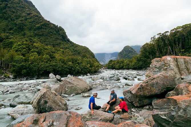 Fox Glacier Nature Tour - The rest of the hike: what the guided valley walking can include