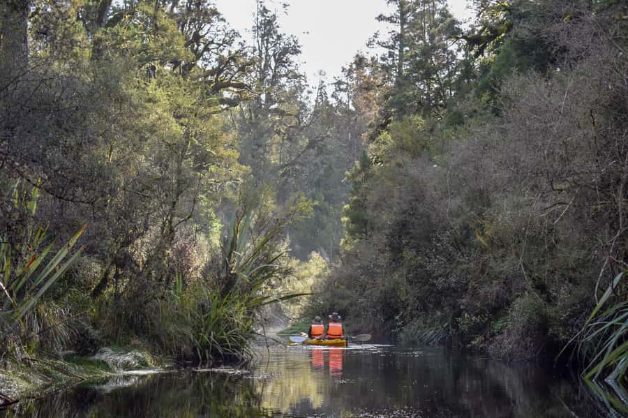 Franz Josef: 3-Hour Kayak Tour on Lake Mapourika - How the 10-minute ride and 3 hours on water feel in your day