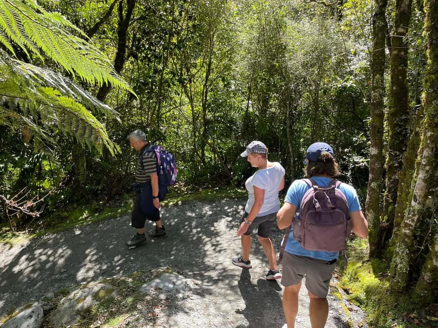 Franz Josef: Franz Josef Glacier Lookout Guided Walk - What the walking conditions are really like, and how to prepare