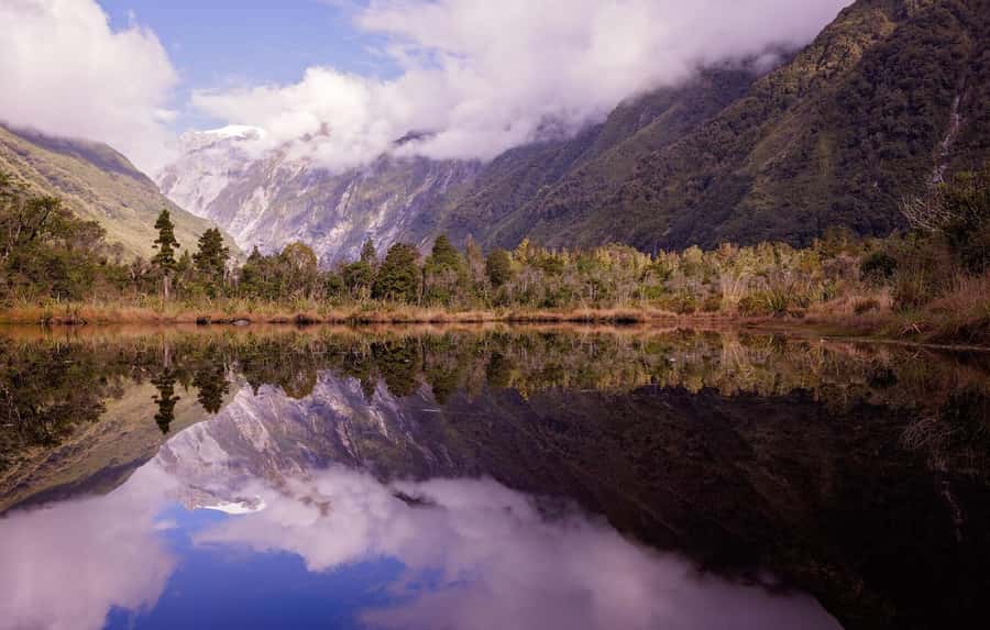 Franz Josef: Franz Josef Glacier Lookout Guided Walk - The rainforest route: bird song, waterfalls, and orchid spotting