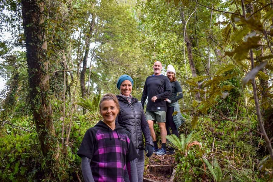 Franz Josef Glacier: 2.5-Hour Lake Mapourika Cruise and Walk - Weather and Comfort: Rain or Shine, Plan for Real Ground