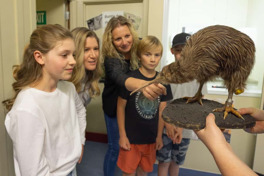 Franz Josef: Kiwi VIP Backstage Pass Tour -Booking Essential - Key things worth knowing before you go