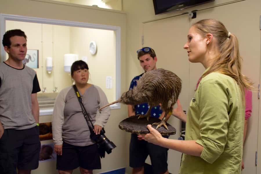 Franz Josef: Kiwi VIP Backstage Pass Tour -Booking Essential - The Conservation Story: Department of Conservation and Predator Control