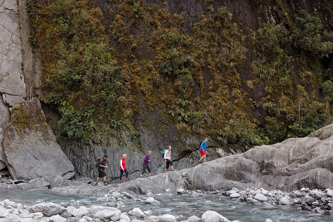Franz Josef Nature Tour - Why This Walk Feels More Like Nature Than a Quick Sightseeing Stop