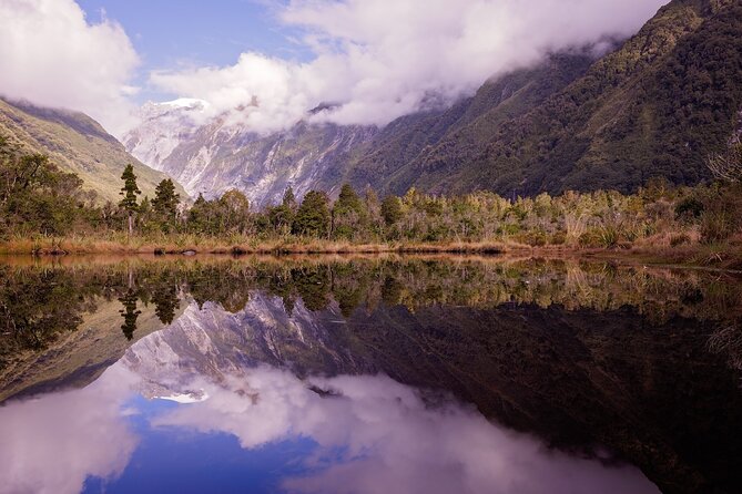 Franz Josef Nature Tour - What You Learn: Glaciology, Geology, Flora, Fauna, and Those Local Stories