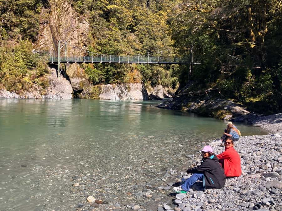 Franz Josef to Queenstown small group tour (One-Way) - Lake Hawea and Wanaka Tree: iconic photos without the stress