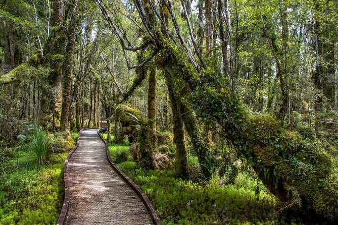 Franz Josef to Queenstown Small Group Tour via Wanaka 1 -Way - Crown Range Road and the Cardrona Hotel photo stop