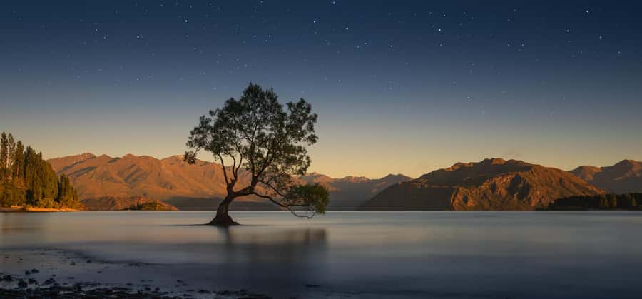 Franz Josef to Queenstown Tour via Wānaka - The Minibus Ride: Modern Comfort, Water and Snacks, and Real Guide Energy