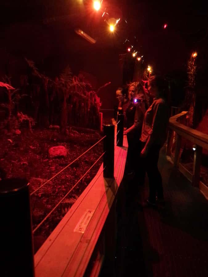 Franz Josef: West Coast Wildlife Centre Entry Ticket -48 hrs - Ambassador West Coast Penguin Encounter: rescued kororā and keeper-style learning
