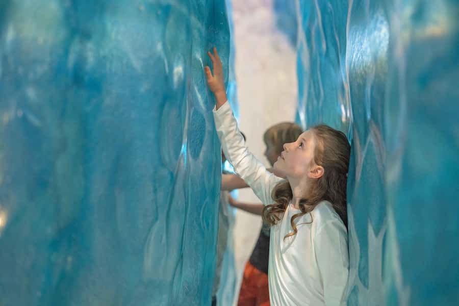 Franz Josef: West Coast Wildlife Centre Entry Ticket -48 hrs - Price and value: is $38 worth it?