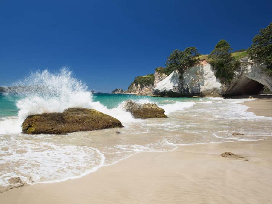 From Auckland: Cathedral Cove & Hot Water Beach Tour - A 10-hour Coromandel hit from Auckland: what you’re really signing up for