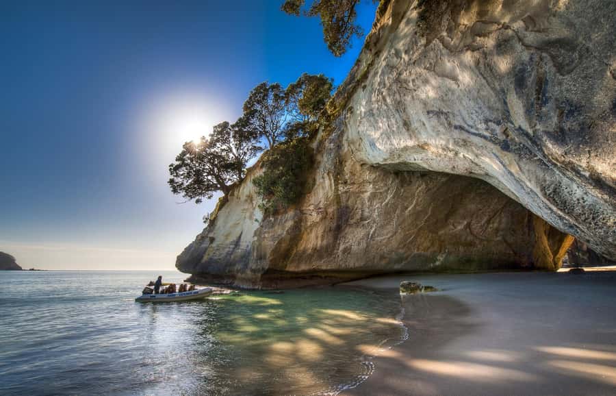 From Auckland: Cathedral Cove & Hot Water Beach Tour - Pickup, van time, and why comfort matters on a long day