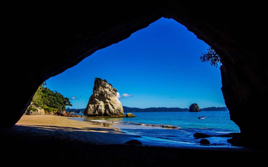 From Auckland: Cathedral Cove & Hot Water Beach Tour - Cathedral Cove Marine Reserve: the Narnia arch, the walking, and swim reality