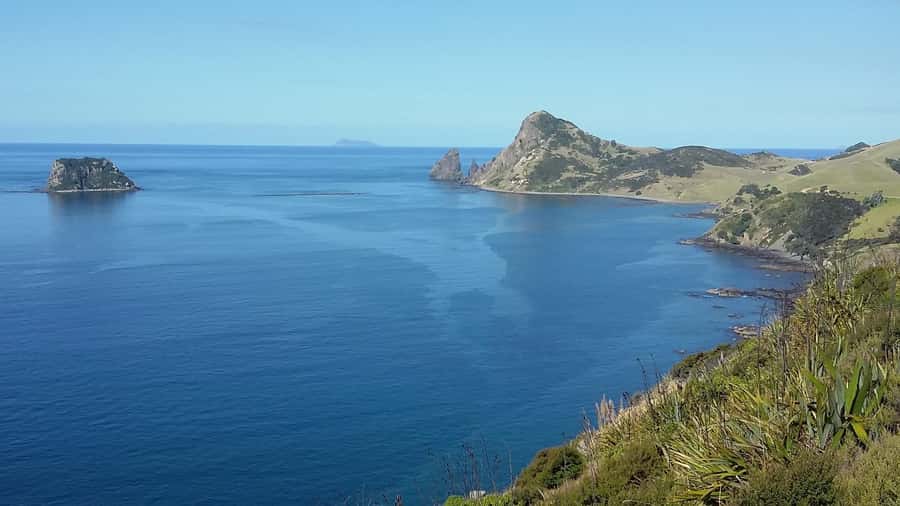 From Auckland: Cathedral Cove & Hot Water Beach Tour - Hot Water Beach: how the sand spa really works with tide