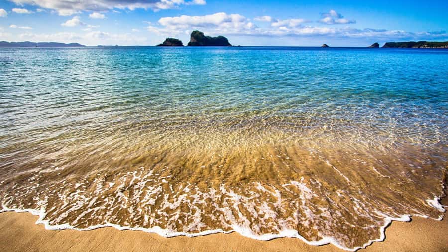 From Auckland: Cathedral Cove & Hot Water Beach Tour - What to pack for wet sand, stairs, and a changeable Coromandel day