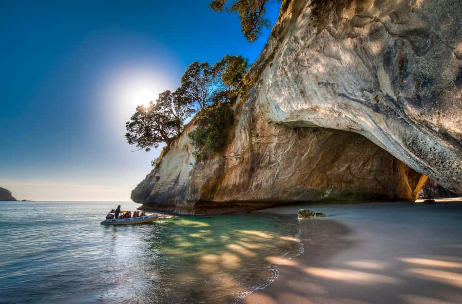 From Auckland: Cathedral Cove & Hot Water Beach Tour - Who should book this Cathedral Cove and Hot Water Beach day trip