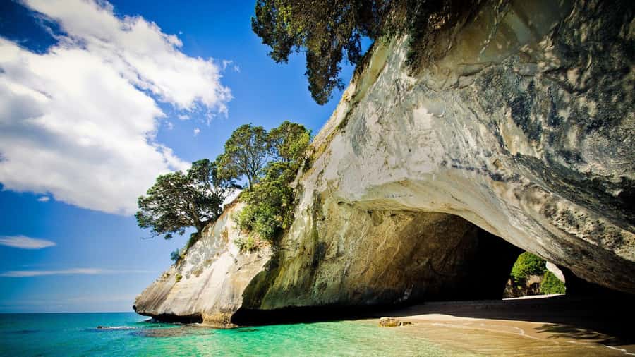 From Auckland: Cathedral Cove & Hot Water Beach Tour - Waikato countryside, coastal bends, and getting the context en route