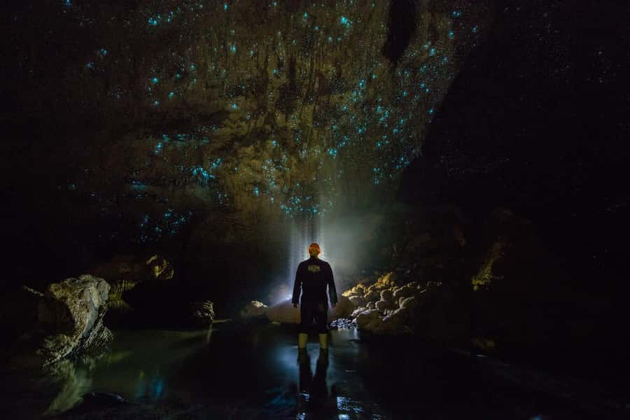 From Auckland: Day Trip to Waitomo Glow Worm Caves - Price and Value for a $166 Per Person Day Trip