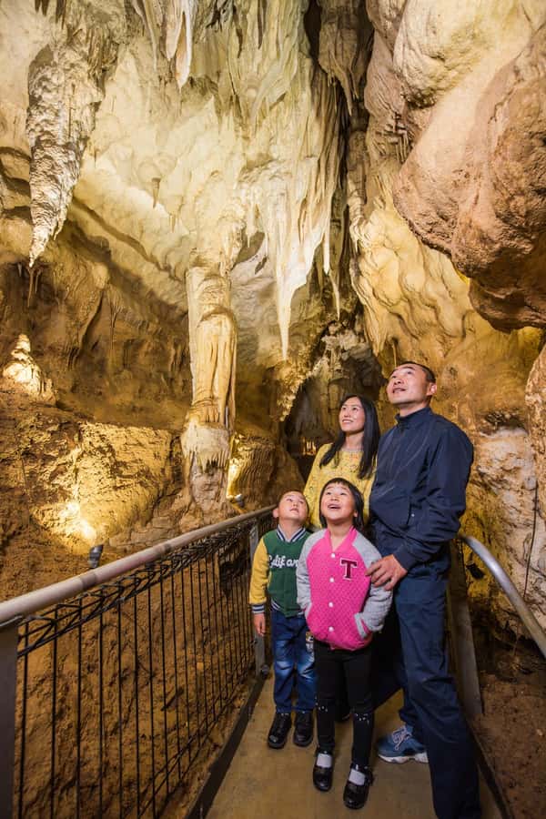 From Auckland: Day Trip to Waitomo Glow Worm Caves - Who This Tour Fits Best, and Who Should Think Twice