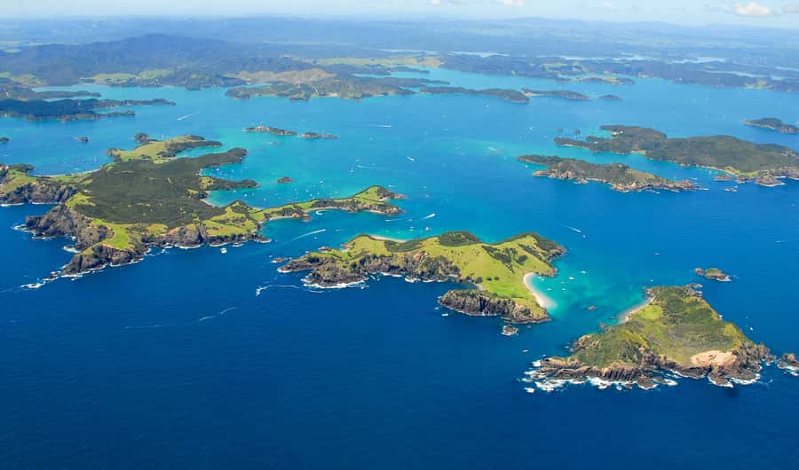 From Auckland: Full-Day Tour to the Bay of Islands - The Mercedes van ride to Paihia, use the 3-hour drive well