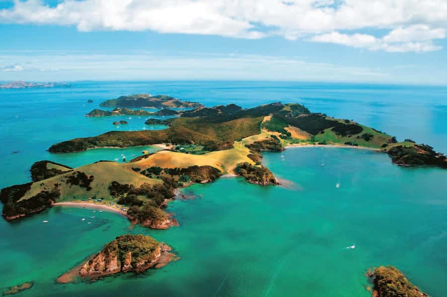 From Auckland: Full-Day Tour to the Bay of Islands - Price and value at $274, what you actually get for the money