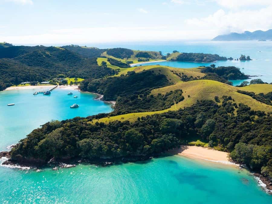 From Auckland: Full-Day Tour to the Bay of Islands - Timing, lunch, and what to pack for this long day