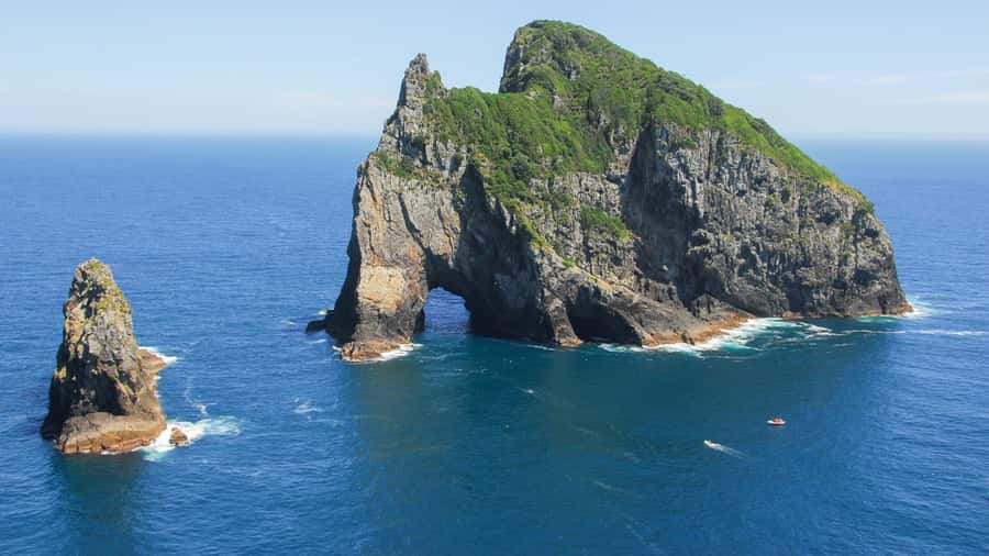 From Auckland: Full-Day Tour to the Bay of Islands - Who this Bay of Islands day tour suits best