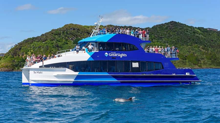 From Auckland: Full-Day Tour to the Bay of Islands - Should you book this full-day Bay of Islands tour?