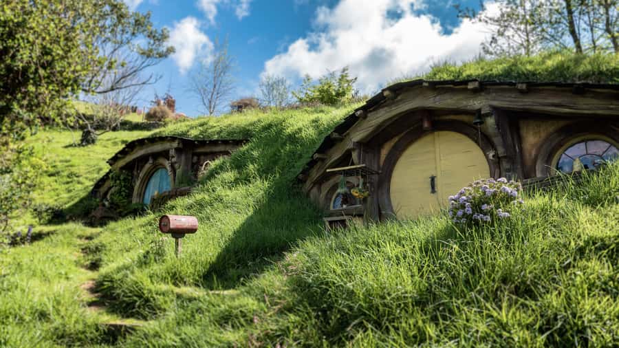 From Auckland: Hobbiton Afternoon Tour - Late Start From Auckland, So Your Day Feels Less Rushed
