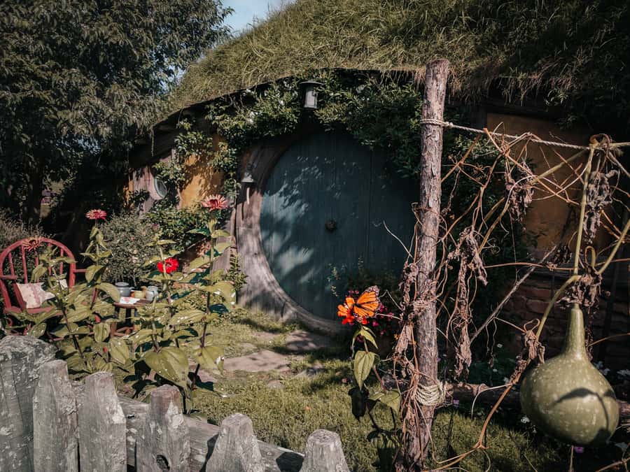 From Auckland: Hobbiton Afternoon Tour - The Waikato Drive: Dairy, Cattle, and Good Conversation on the Way