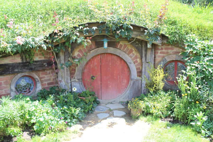 From Auckland: Hobbiton Afternoon Tour - The Guided Hobbiton Walking Tour, Green Dragon Drink, and Uneven Ground